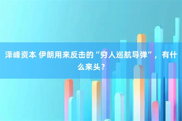 泽峰资本 伊朗用来反击的“穷人巡航导弹”，有什么来头？