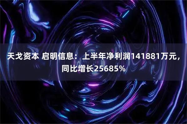 天戈资本 启明信息：上半年净利润141881万元，同比增长25685%