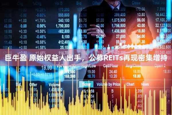 巨牛盈 原始权益人出手，公募REITs再现密集增持